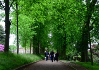 The Avenue of Limes - Credit Scott Merrylees, courtesy Yorkshire Post